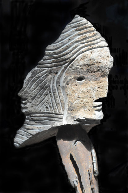 DSC 4281